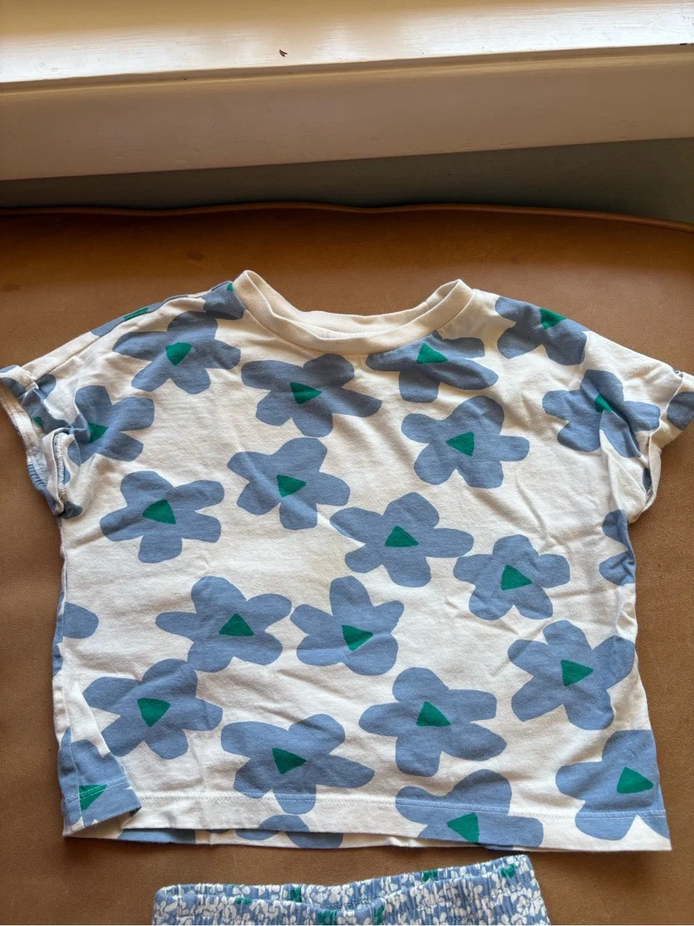 Hanna Andersson Floral T-Shirt and Shorts Set